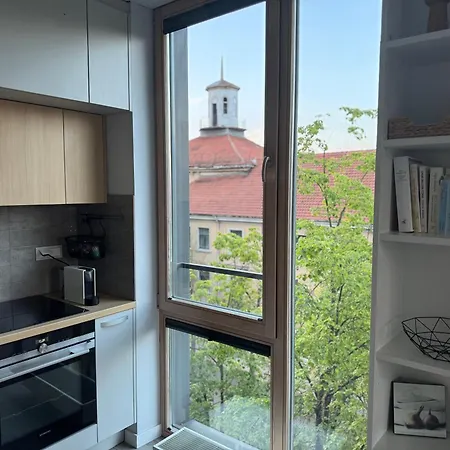 Manto Namai In The Center Of With A View Apartment